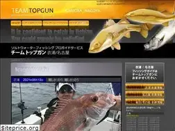 Sites similar to team-topgun.com