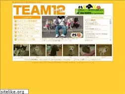 Sites similar to team12.net