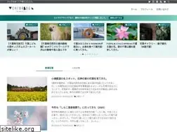 Sites similar to team9648.com