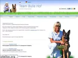 Sites similar to teambullehof.ru