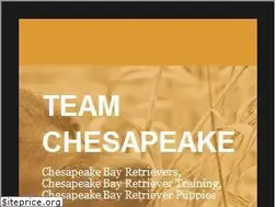 Sites similar to teamchesapeake.com