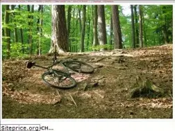 Sites similar to teamdochnoch.de