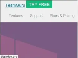 Sites similar to teamguru.com