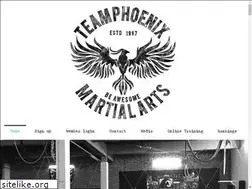 Sites similar to teamphoenixmartialarts.com
