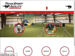 Sites similar to teamspiritagility.com