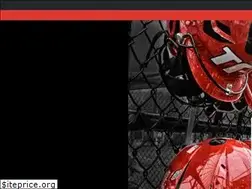 Sites similar to teamtfs.net
