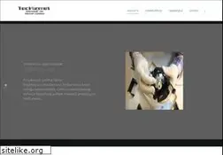 Sites similar to techizmet.com