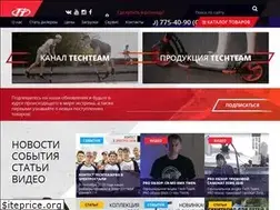 Sites similar to techteam.ru