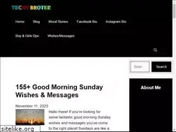 Sites similar to techybrother.com