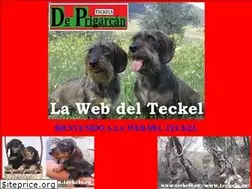 Sites similar to teckels.es