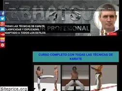 Sites similar to tecnicas-de-karate.info