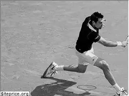 Sites similar to tecnifibre.com