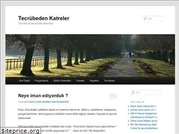 Sites similar to tecrubedenkatreler.com