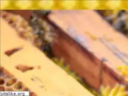 Sites similar to teesbees.co.uk