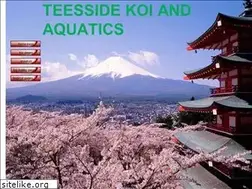 Sites similar to teessidekoi.co.uk