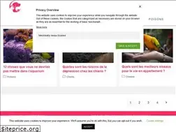Sites similar to teezli.com