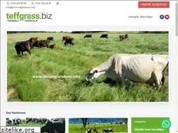 Sites similar to teffgrass.biz