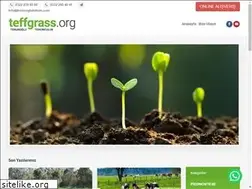 Sites similar to teffgrass.org