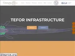 Sites similar to tefor.net