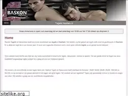 Sites similar to tegelshaarlem.nl