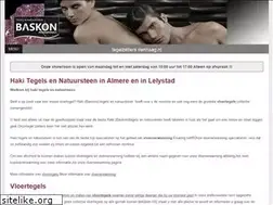 Sites similar to tegelzettersdenhaag.nl
