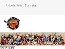Sites similar to tegernheim-basketball.de