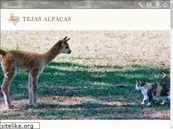 Sites similar to tejas-alpacas.com