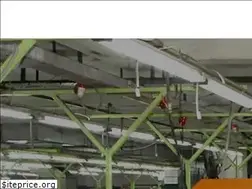 Sites similar to tejgroupindia.com