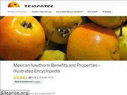 Sites similar to tejocotes.com