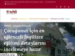 Sites similar to tekdil-cayyolu.com