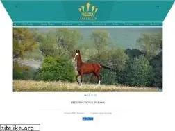 Sites similar to tekehorse.com