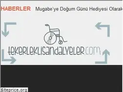 Sites similar to tekerleklisandalyeler.com