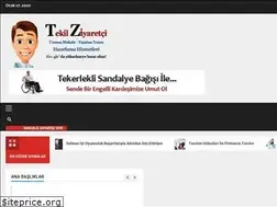 Sites similar to tekilziyaretci.com