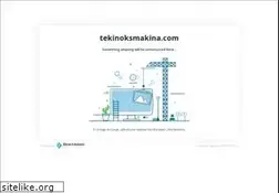 Sites similar to tekinoksmakina.com