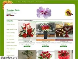 Sites similar to tekirdagcicek.com