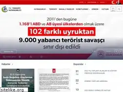 Sites similar to tekkekoy.gov.tr