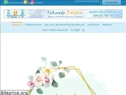 Sites similar to teknededugunistanbul.com