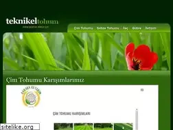 Sites similar to teknikeltohum.com