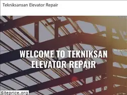 Sites similar to tekniksanasansor.com