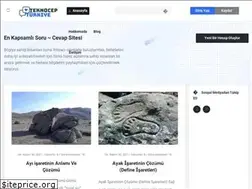 Sites similar to teknocepturkiye.com