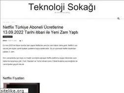 Sites similar to teknolojisokagi.com
