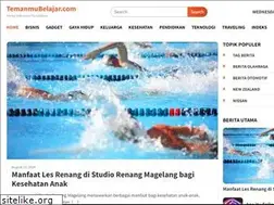 Sites similar to temanmubelajar.com