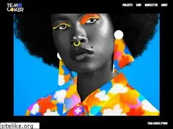 Sites similar to temicoker.co
