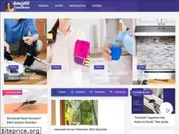 Sites similar to temizlikonerilerim.com