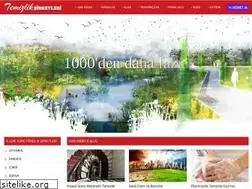 Sites similar to temizliksirketleri.org