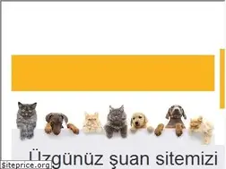 Sites similar to temizmama.com