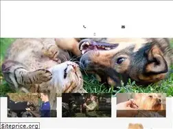Sites similar to tempepethospital.com
