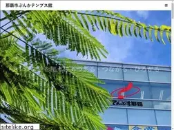 Sites similar to tenbusukan.jp
