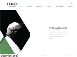 Sites similar to tenegroup.com