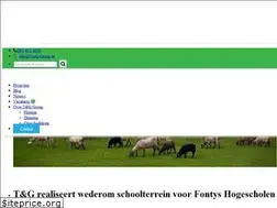 Sites similar to teng.nl